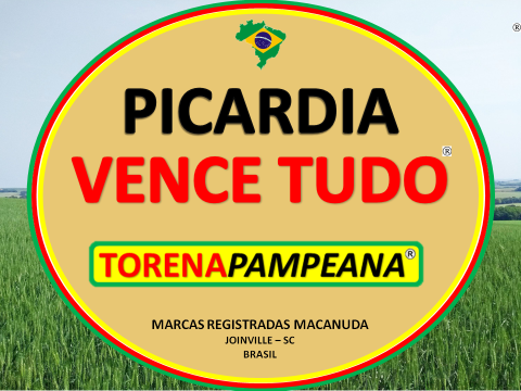 PICARDIA VENCE TUDO E TORENA PAMPEANA NA REGIÃO NORTE DO BRASIL